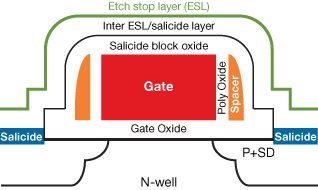 Diagram of Semiconductor Gate Structure in NVM Technology